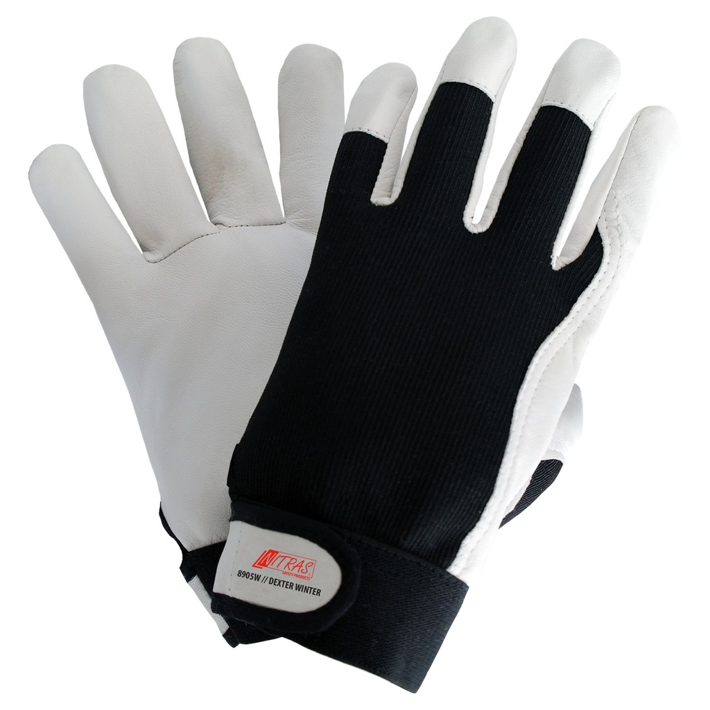 NITRAS DEXTER WINTER Winterhandschuhe | 8905W (7)