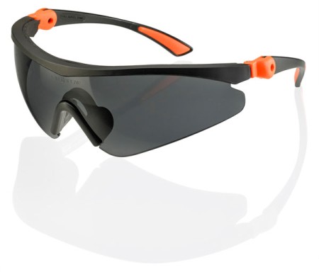 BEESWIFT Roma Schutzbrille, grau | CTRSS3GY