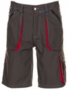 2843 Basalt Shorts