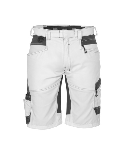 250090 Axis Painters Malershorts